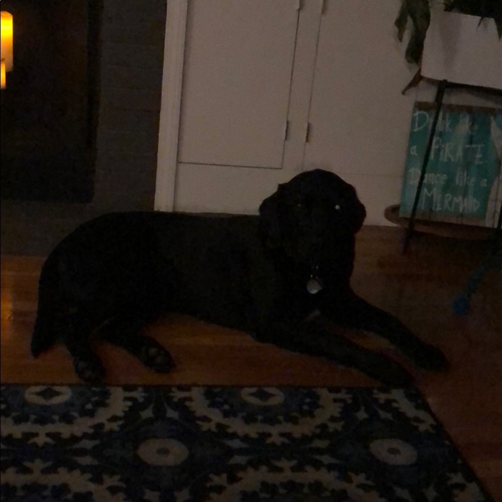 Meet your Posher, Ramona